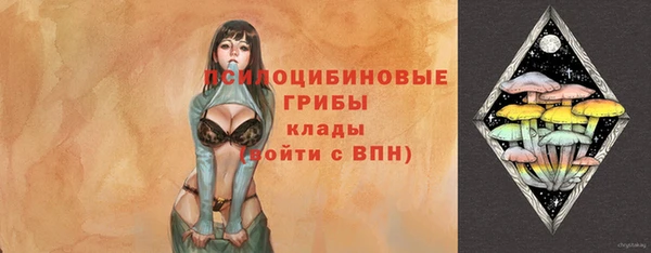 ешки Балахна