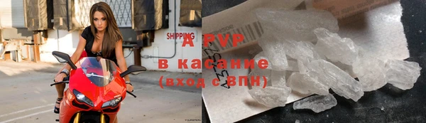 трава Белокуриха