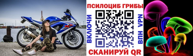 Псилоцибиновые грибы Psilocybe  Слюдянка 
